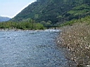 2007-05-16 001.JPG